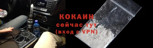 твердый Верхний Тагил