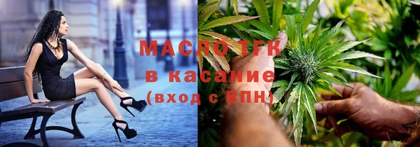 твердый Верхний Тагил